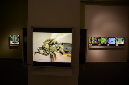 Wasp_exhibition__DSC3492